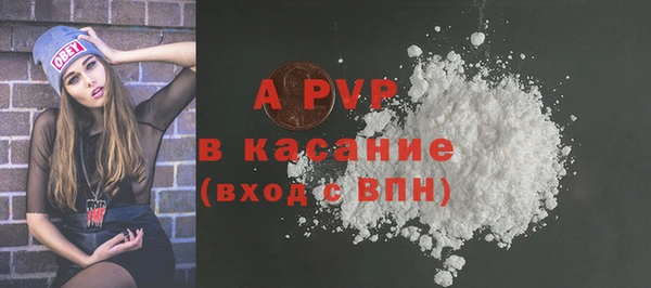 гидра Богородск