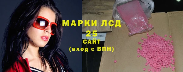 спиды Богородицк