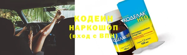 спиды Богородицк