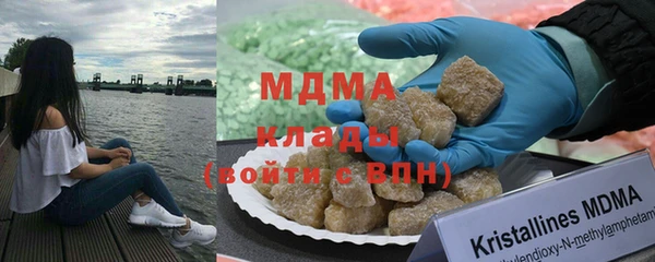 гидра Богородск