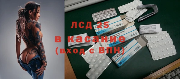 гидра Богородск