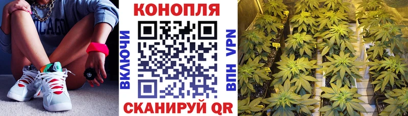 купить закладку  Томари  Бошки Шишки Amnesia 